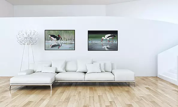 Agnieszka Mantaj - White stork