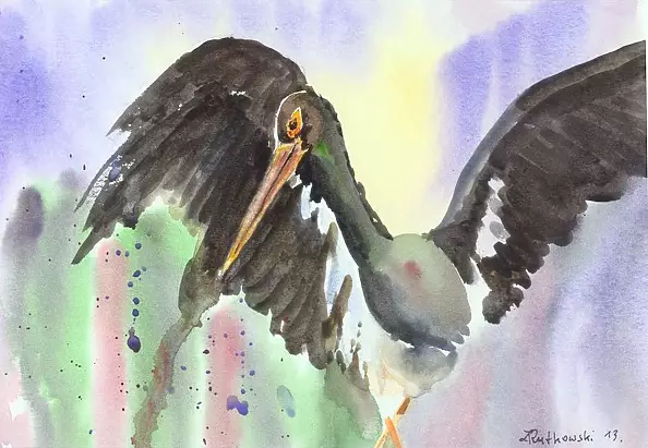 Zdzisław Rutkowski - Black Stork Hajstra
