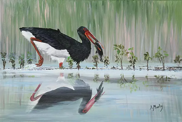 Agnieszka Mantaj - black stork