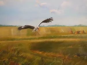   - Stork in flight