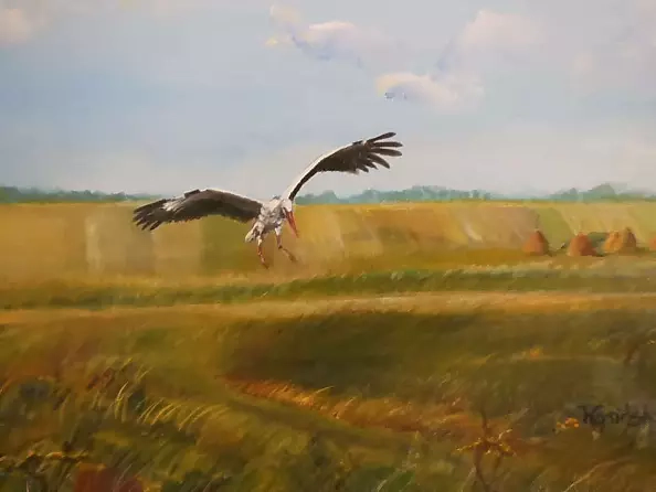 Urszula Wasinska - Stork in flight