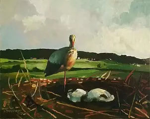 Grzegorz Ziółkowski - Storks