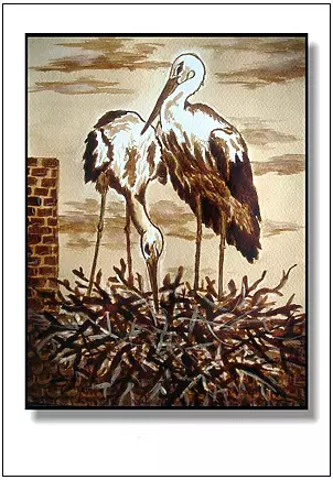   - Storks