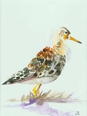 Zdzisław Rutkowski - Bojownik V