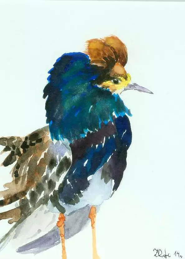 Zdzisław Rutkowski - fighter XV