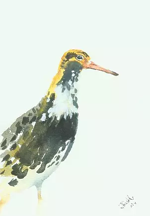 Zdzisław Rutkowski - Bojownik