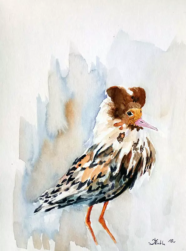 Zdzisław Rutkowski - Fighter