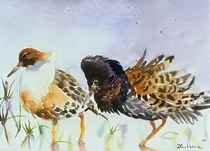 Zdzisław Rutkowski - Fighters from the swamps Biebrza