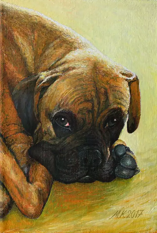 Mirosław Kowzanowicz - Boxer