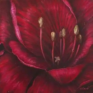 Fabrice De Villeneuve - Bold Flowers