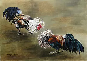 Katarzyna Niemczak - Bolero