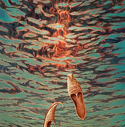 Joanna Sierko Filipowska - Mumbai Sapphire