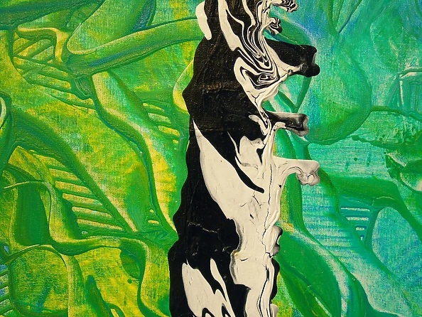 Olha Darchuk - Boomerang in flight