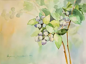 Magdalena Bronakowska - Borówka amwrykańska