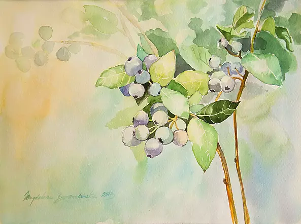 Magdalena Bronakowska - Borówka amwrykańska