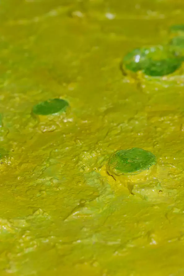 Pamela Rys - Botanical Blooms