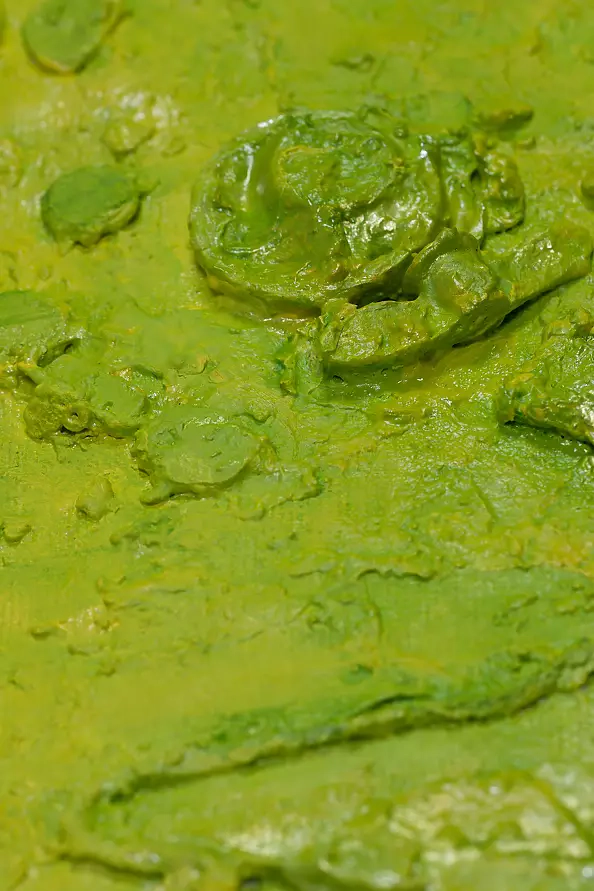 Pamela Rys - Botanical Blooms