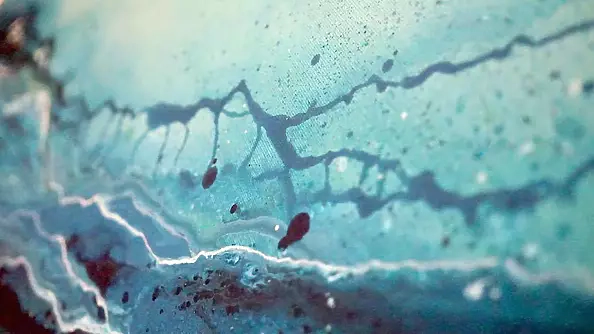 Izabela Olszyna - Brahmaputra