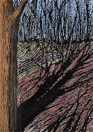   - Lack of sun laid tree