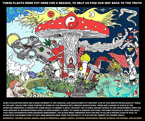 Waldemar Borowski - Brakujące ogniwo