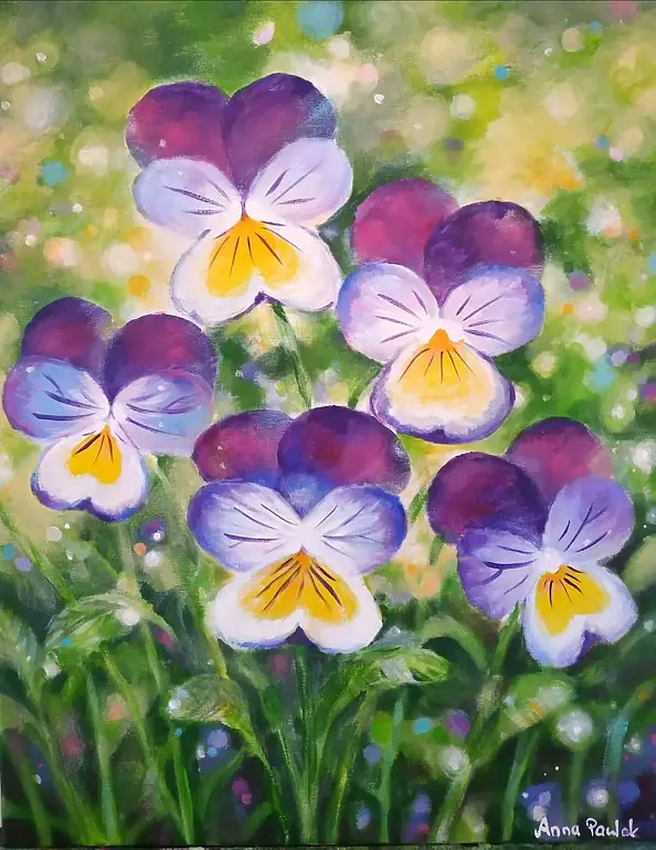 Anna Pawlak - "Bratki"