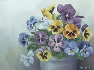   - pansies