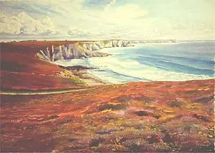   - Britain: wrzoskowisko and tips