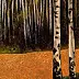 Jacek Malinowski - Birch