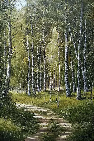 Marek Szczepaniak - Brzezina