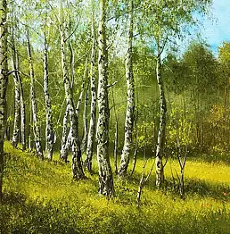 Marek Szczepaniak, березовый, Масляная картина - холст, 60 x 40