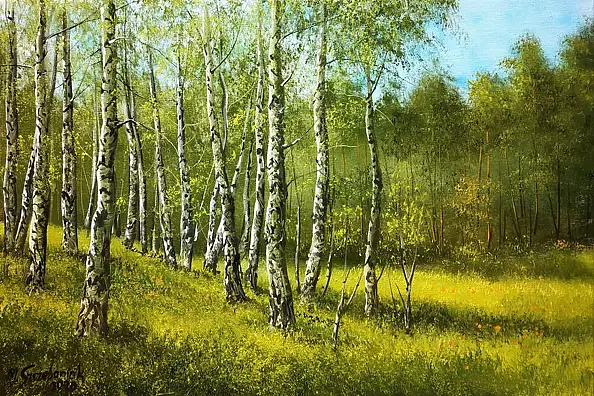 Marek Szczepaniak - Birch
