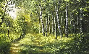 Marek Szczepaniak - Brzezina