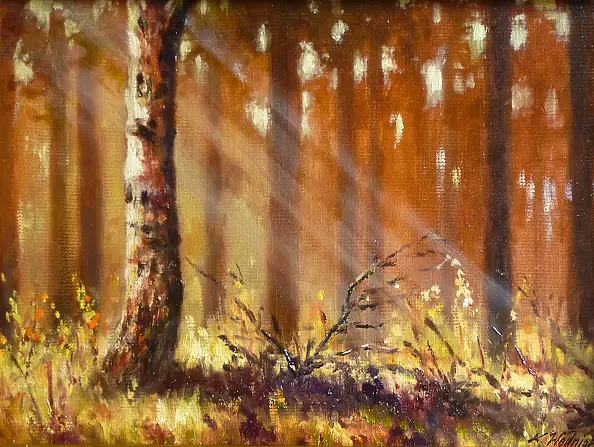 Krystian Wodniok - birch-tree