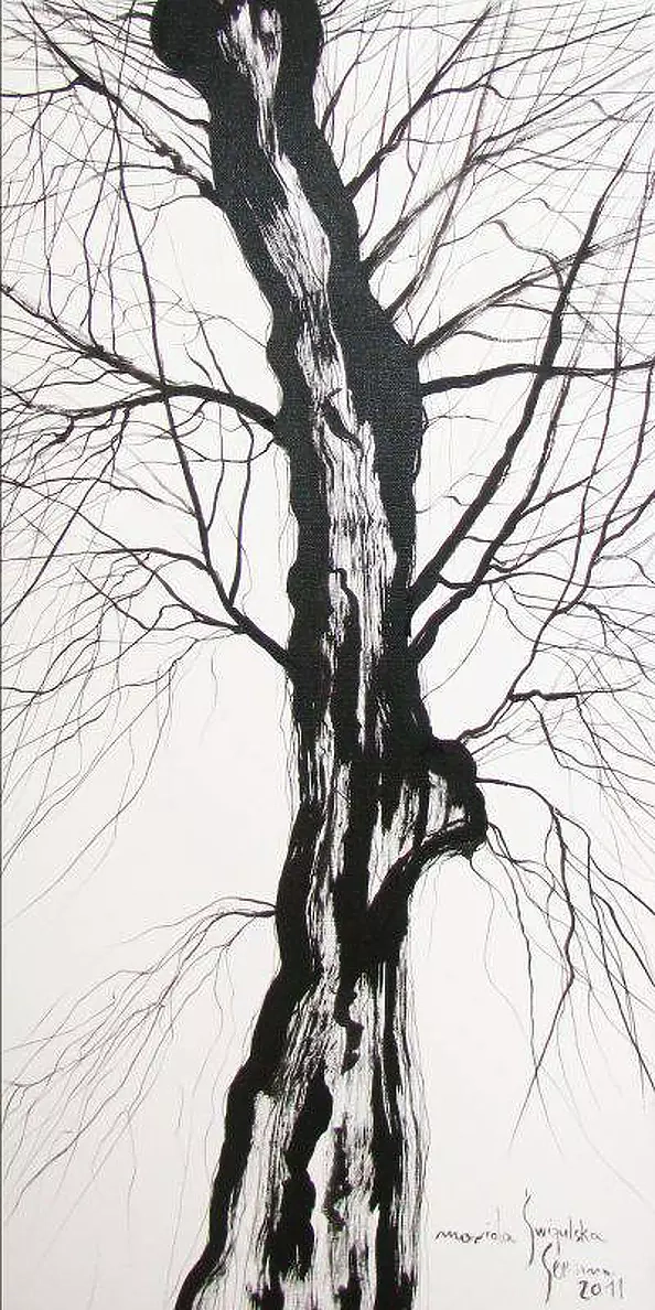 Mariola Świgulska - birch-tree