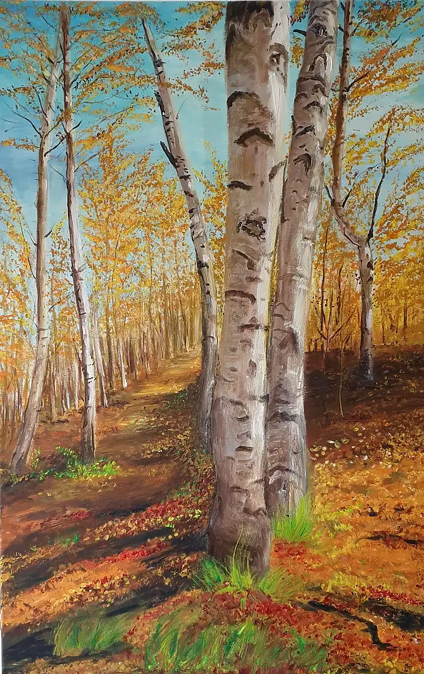 Jadwiga Rudnicka - Birch Road (Version II)