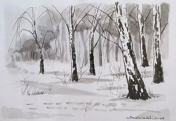Ryszard Niedźwiedzki - A birch clearing