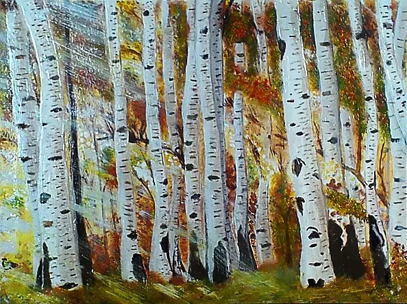 Anna Maria Modrzejewska - birch forest