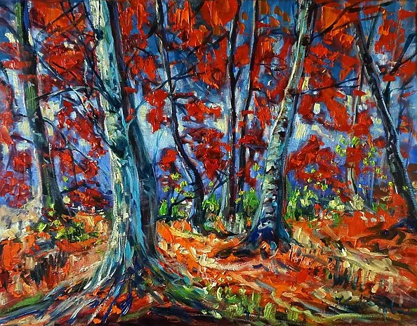 Dominika Kruk - Zięba - Brzozy jesienne