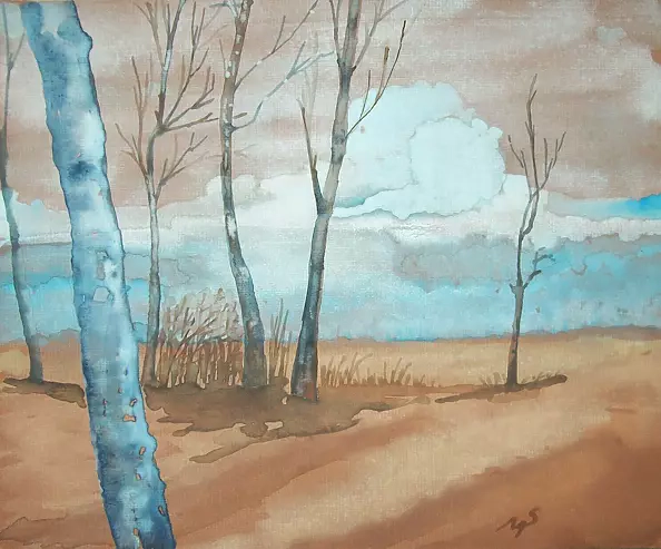 Marek Sabat - birches