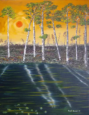   - Brzozy nad jeziorem