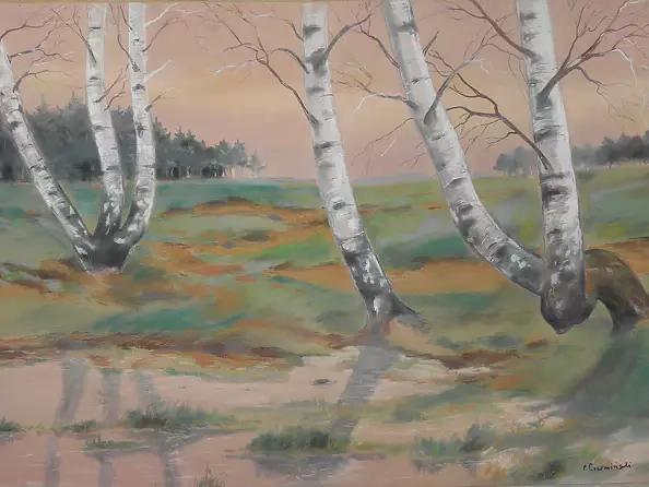 Paweł Czermiński - birches