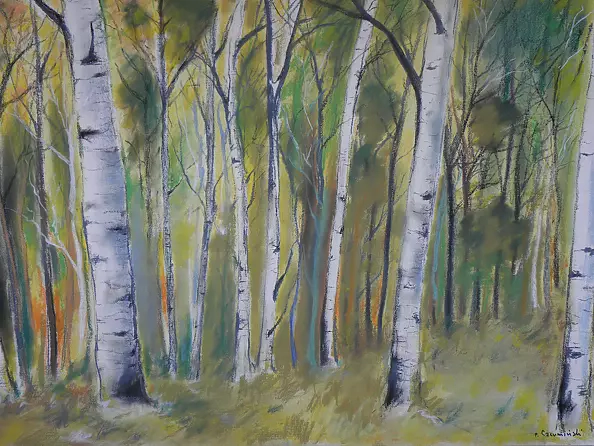 Paweł Czermiński - birches