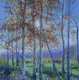 Dorota Zbroszko - Birch trees in the sun
