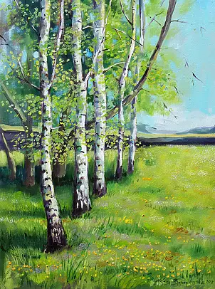   - Birches with Jędrzychowice