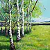 Magdalena Bronakowska - Birches with Jędrzychowice