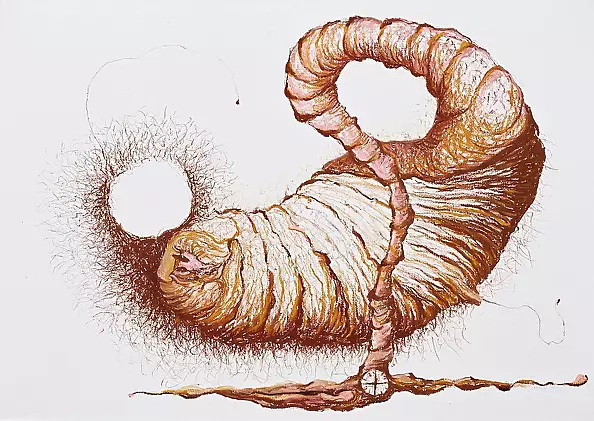 Elżbieta Zadora Zuzelska - Robalik