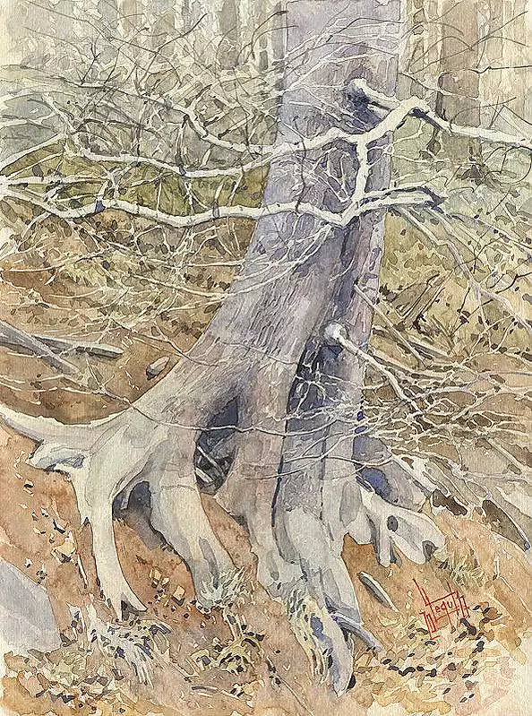 Leszek Legut - Beech Sagittarius