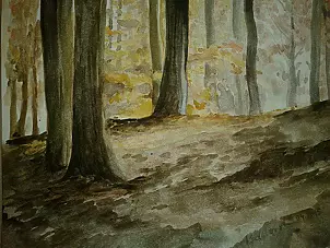 Dorota Kędzierska - Buki