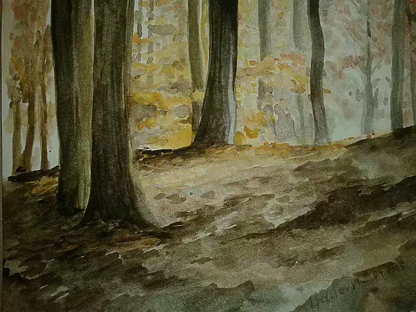 Dorota Kędzierska - Buki