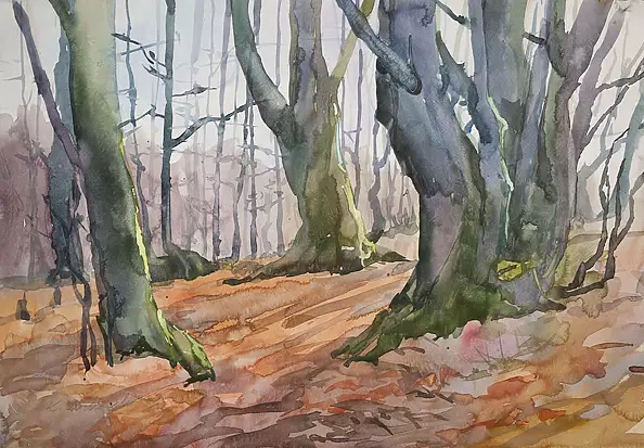 Krzysztof Michalski - Buki w Bieszczadach